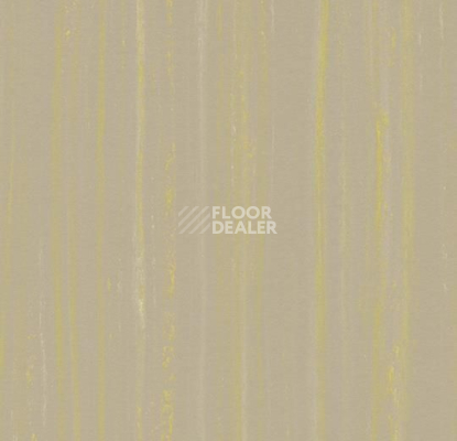 Линолеум Forbo Marmoleum Linear Striato Colour 5244 hint of yellow фото 1 | FLOORDEALER